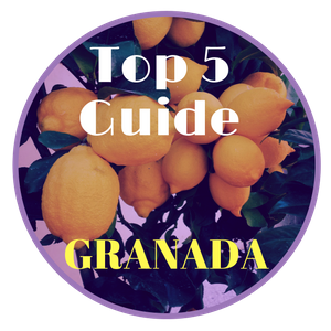 Granada Guide